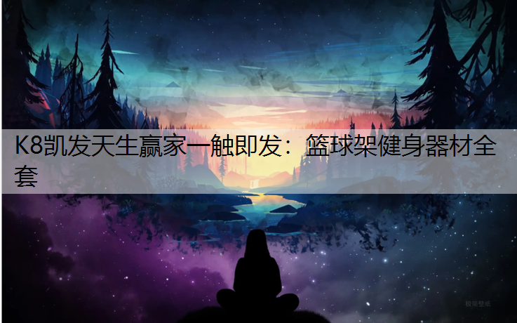 K8凯发天生赢家一触即发：篮球架健身器材全套