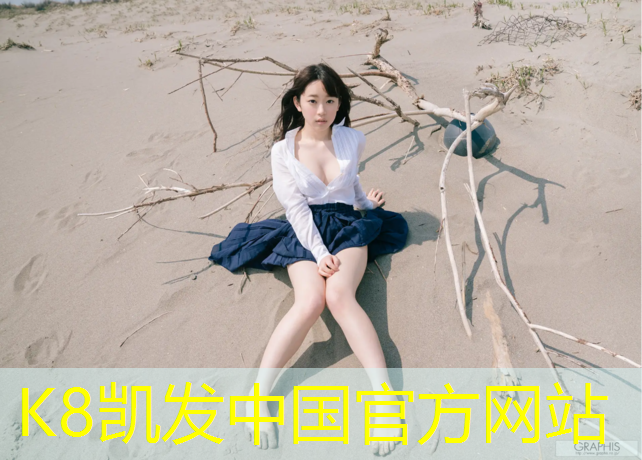 K8凯发国际官方网站：网球网穿钢丝
