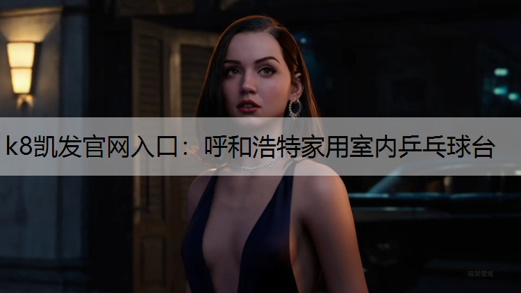 呼和浩特家用室内乒乓球台