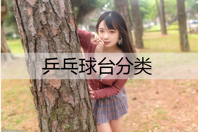 乒乓球台分类