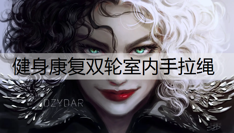 健身康复双轮室内手拉绳