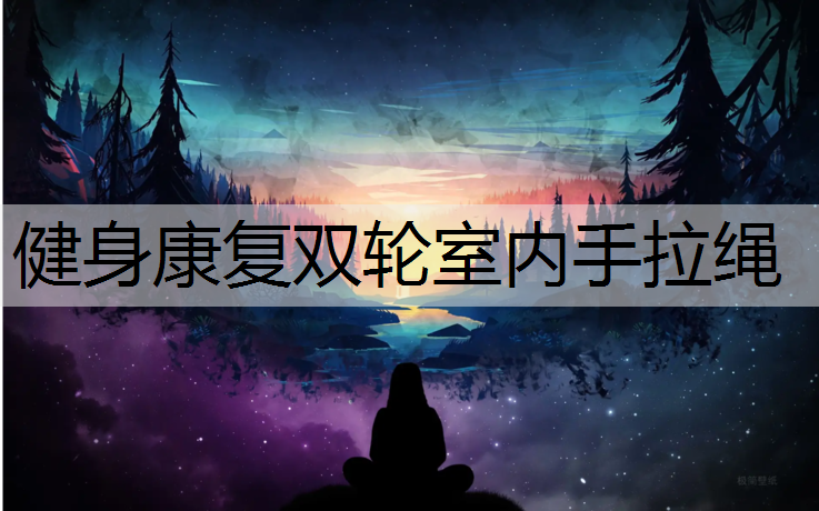 健身康复双轮室内手拉绳