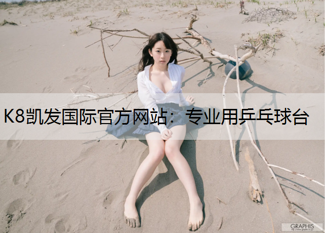 专业用乒乓球台